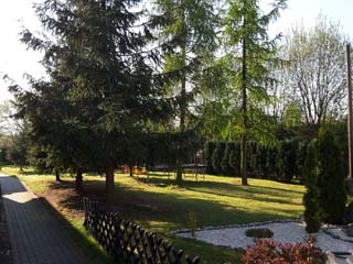 widoki