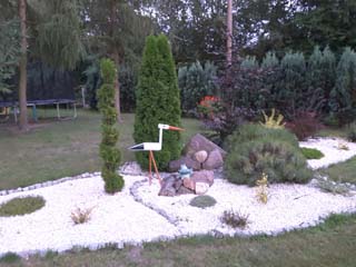 widoki
