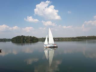 widoki