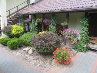 widoki